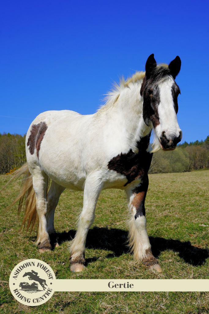 Photo of Gertie