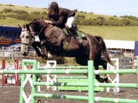 Anderida Anica jumping Anderida Anica jumping