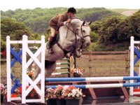 Anderida Polaris jumping Anderida Polaris jumping