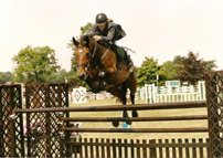 Anderida Polydora Anderida Polydora